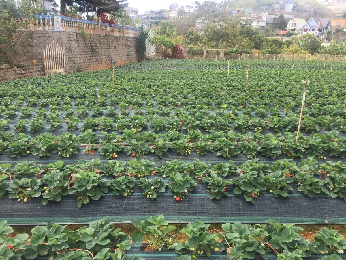 Nhat Nam Hotel Da Lat Zewnętrze zdjęcie
